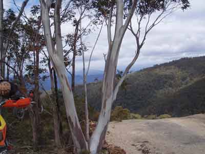 GalleryImage-18